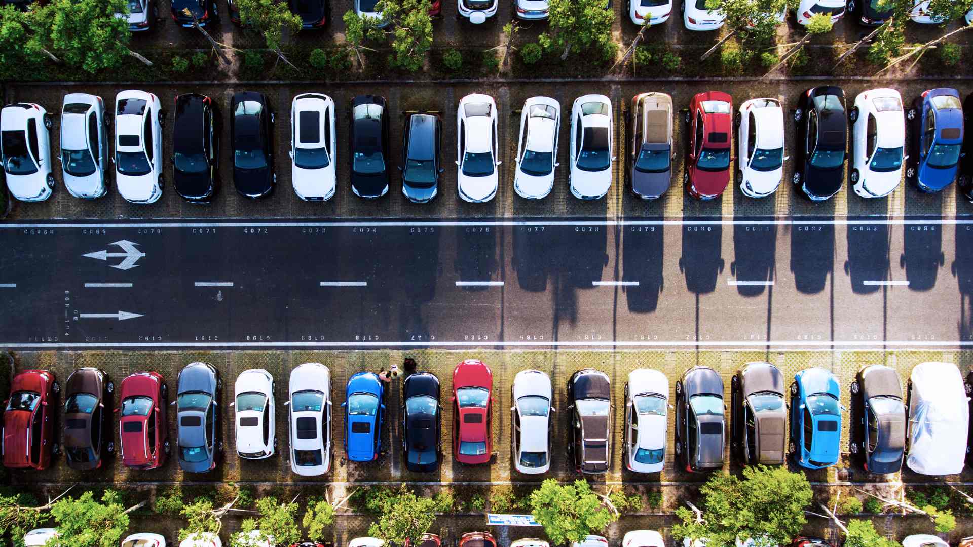 multiple-cars-overhead-shot