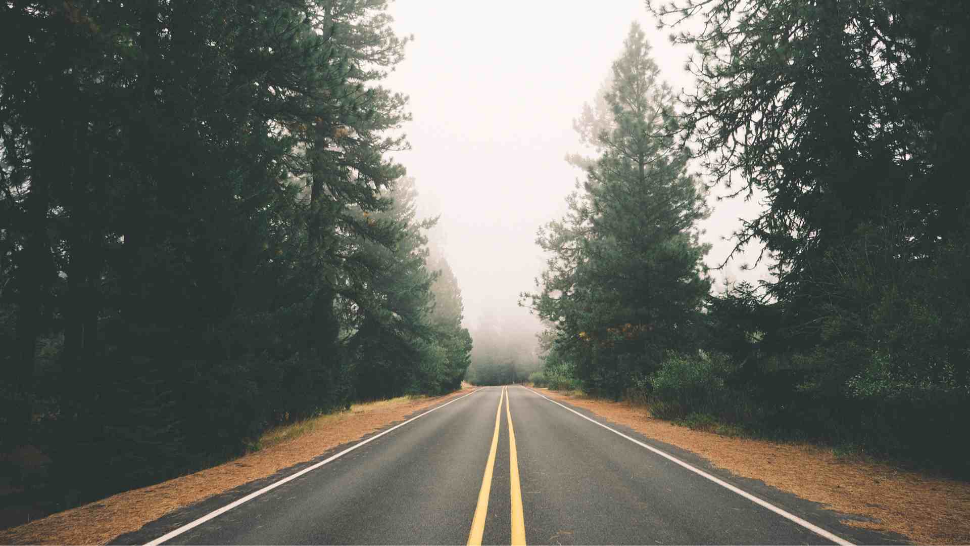 How does a car allowance work? Cardata