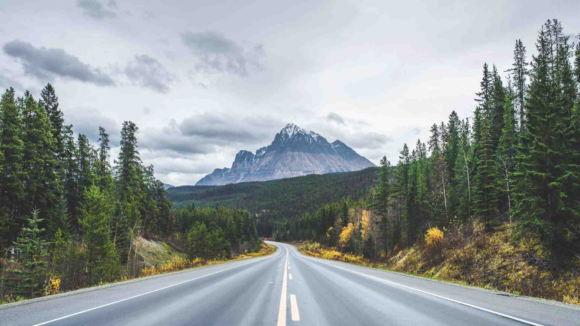 canada-road-drive